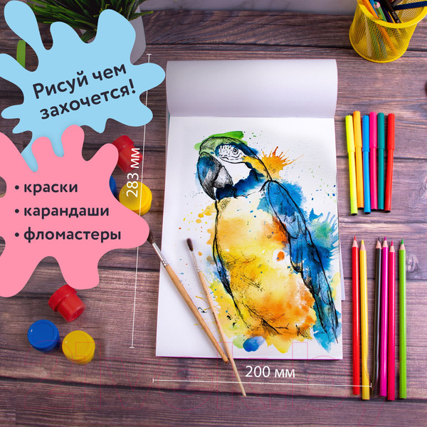 Изображение товара Набор альбомов для рисования Brauberg Автостиль / 880036 (4шт)