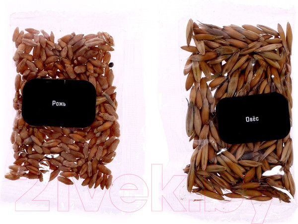 Изображение товара Набор для опытов Эврики Увлекательная наука. Опыты с Земли / 7078293