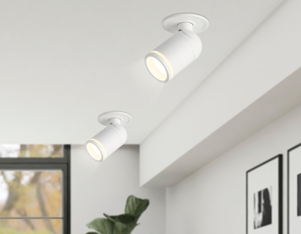 Изображение товара Спот Ambrella TA1272 SWH/FR