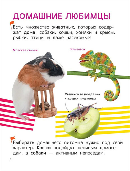 Изображение товара Энциклопедия Росмэн Домашние любимцы, твердая обложка