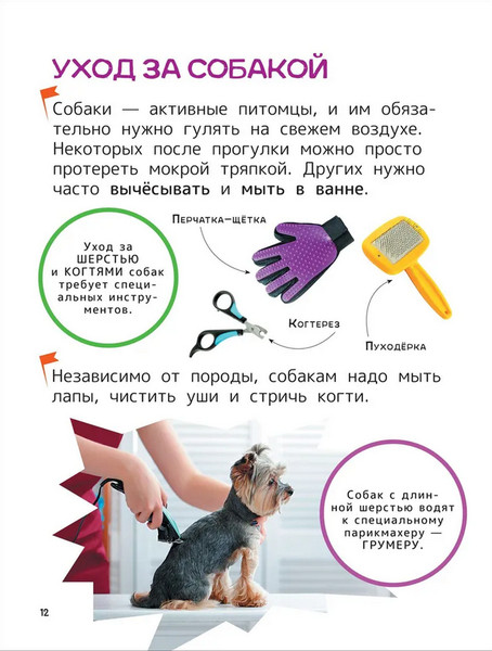 Изображение товара Энциклопедия Росмэн Домашние любимцы, твердая обложка