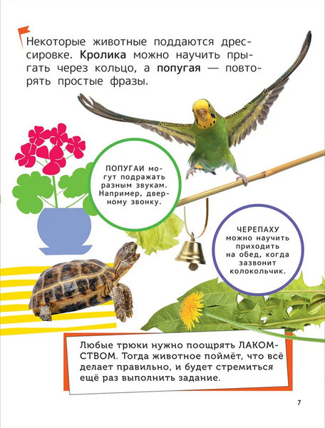 Изображение товара Энциклопедия Росмэн Домашние любимцы, твердая обложка