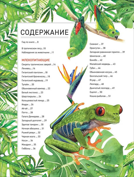 Изображение товара Энциклопедия Росмэн Удивительные животные. Полная энциклопедия