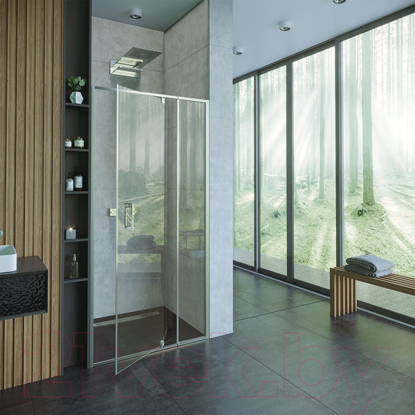 Изображение товара Душевая дверь Alex Baitler AB71C120