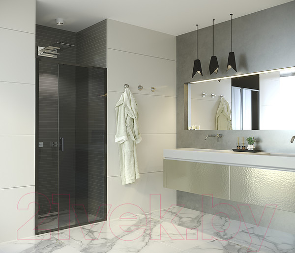 Изображение товара Душевая дверь Alex Baitler AB64B110