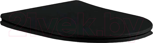 Изображение товара Сиденье для унитаза Aquatek AQ0004-MB (черный матовый)