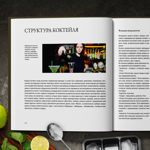 Изображение товара Книга ХлебСоль Руководство бармена. История, техники, рецепты, твердая обложка (Байгера Габриэлла)