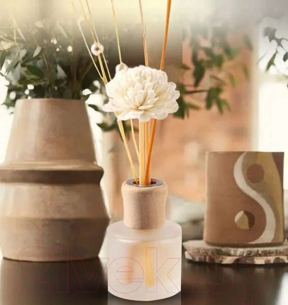 Изображение товара Аромадиффузор Miniso Reed Diffuser. Soft of Love 0318