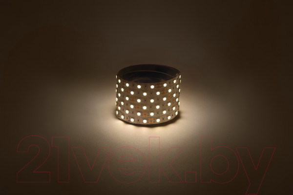 Изображение товара Светодиодная лента ЭРА LS5050-14.4-60-12-3000K-IP20-1 year-5m / Б0059909