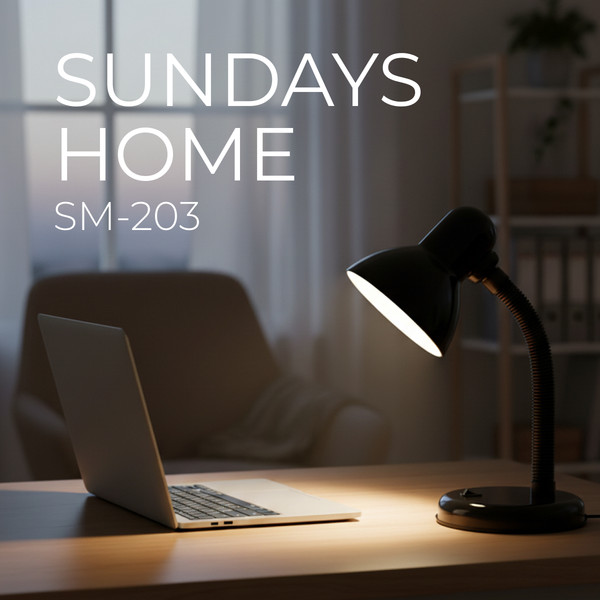 Изображение товара Настольная лампа Sundays Home SM-203 (черный)