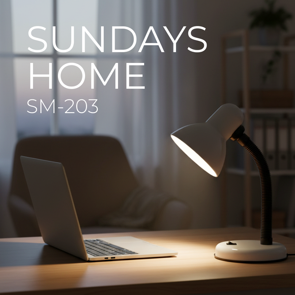 Изображение товара Настольная лампа Sundays Home SM-203 (белый)