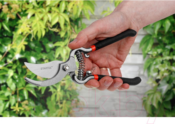 Изображение товара Секатор механический Startul Garden ST6410-04