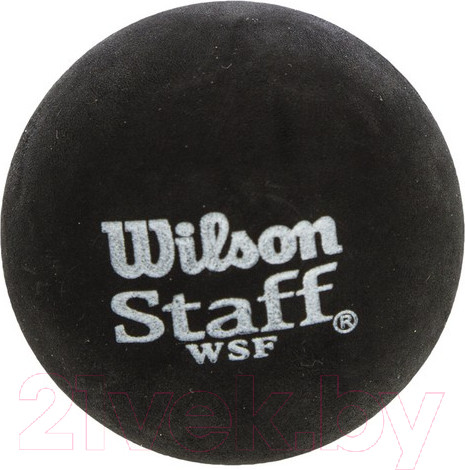 Изображение товара Набор мячей для сквоша Wilson Staff Squash 2 Ball / WRT617600