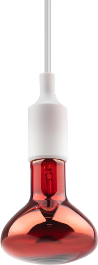 Изображение товара Лампа для растений ЭРА ИКЗК 230-100 R95 E27 / Б0062411