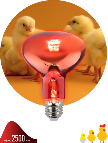 Изображение товара Лампа для растений ЭРА ИКЗК 230-100 R95 E27 / Б0062411