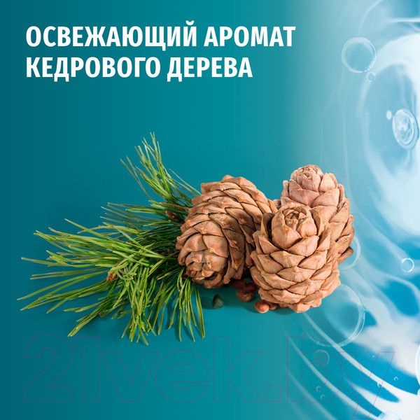 Изображение товара Гель для душа Фа Men Уход и свежесть для тела и волос (250мл)