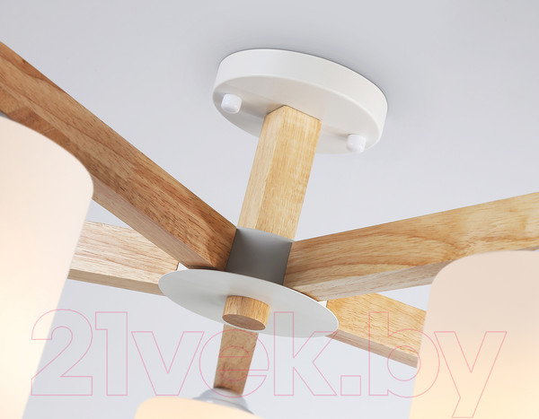 Изображение товара Люстра Ambrella TR83113/5 WH/LW