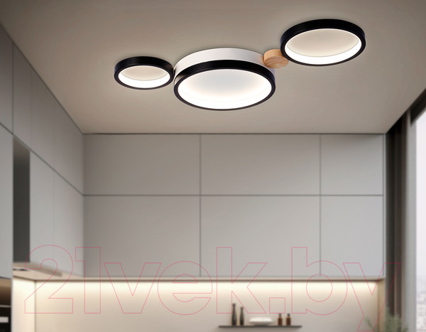 Изображение товара Потолочный светильник Ambrella FL4814/3 BK/WH