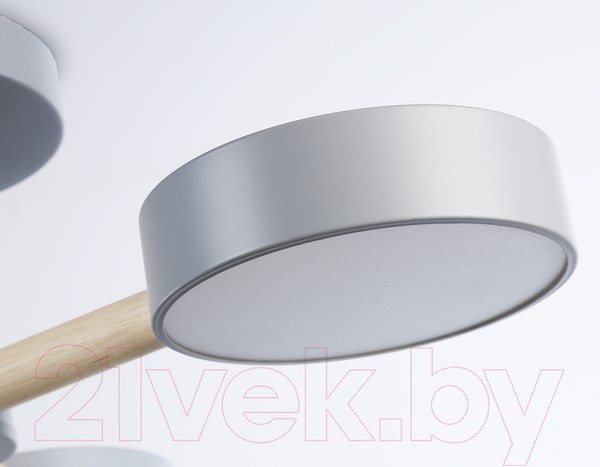 Изображение товара Люстра Ambrella FL4822/3 GR 