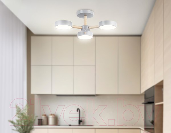 Изображение товара Люстра Ambrella FL4822/3 GR 