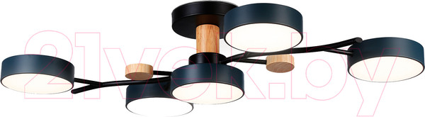 Изображение товара Люстра Ambrella FL4835/5 BK