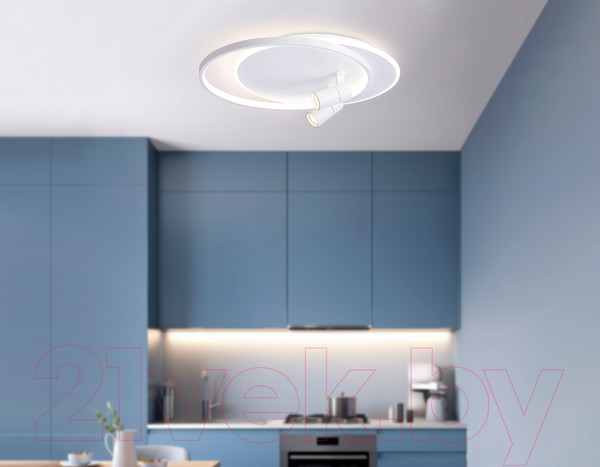 Изображение товара Потолочный светильник Ambrella FL51391/1+2 WH