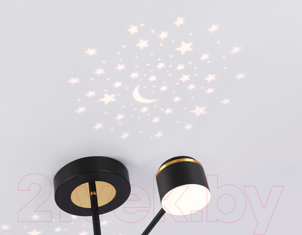 Изображение товара Потолочный светильник Ambrella FL51632/4+1 BK/GD