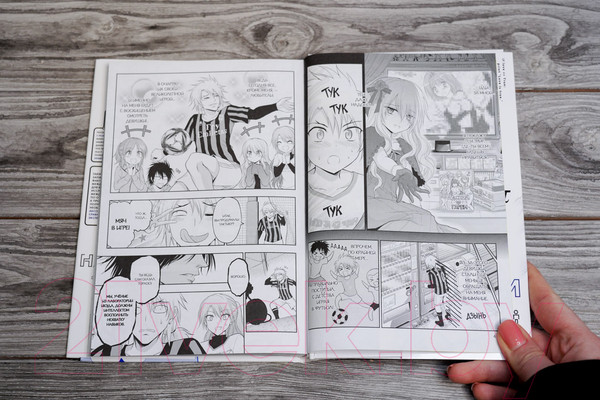 Изображение товара Манга АСТ Научное доказательство любви. Том 13 / 9785171561949 (Ямамото А.)