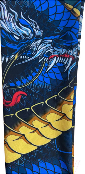 Изображение товара Тайтсы детские RuscoSport Dragon (S)