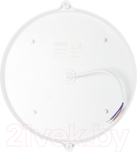 Изображение товара Светильник ЖКХ SmartBuy SBL-BTR22-40ms