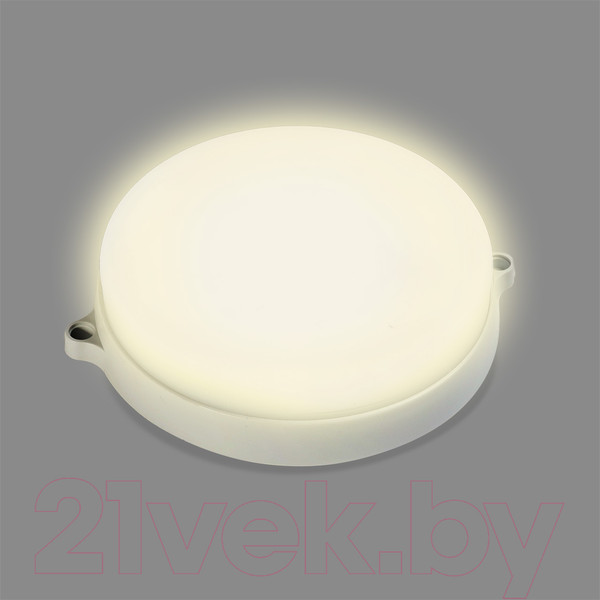 Изображение товара Светильник ЖКХ SmartBuy SBL-BTR22-40ms