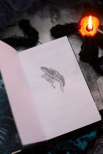 Изображение товара Книга МИФ Мрачный Взвод. Пробуждение Нави / 9785002144181 (Хоффман Р.)