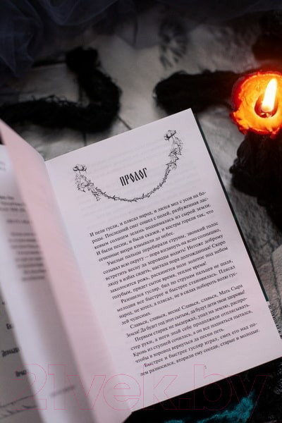 Изображение товара Книга МИФ Мрачный Взвод. Пробуждение Нави / 9785002144181 (Хоффман Р.)
