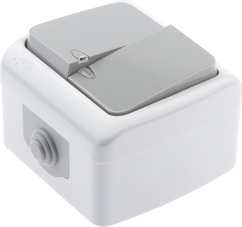 Изображение товара Выключатель INTRO Atlantic 5-105-03 / Б0050944 (серый)