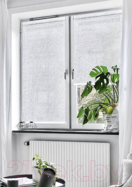 Изображение товара Рулонная штора Эскар Фантом 43x150 / 76920431601 (белый)
