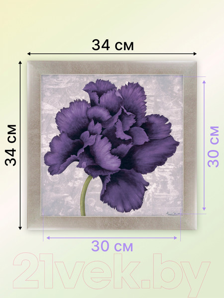 Изображение товара Картина Декарт Фиолетовый цветок 8Л2115 (в раме)