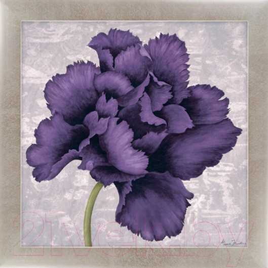 Изображение товара Картина Декарт Фиолетовый цветок 8Л2115 (в раме)