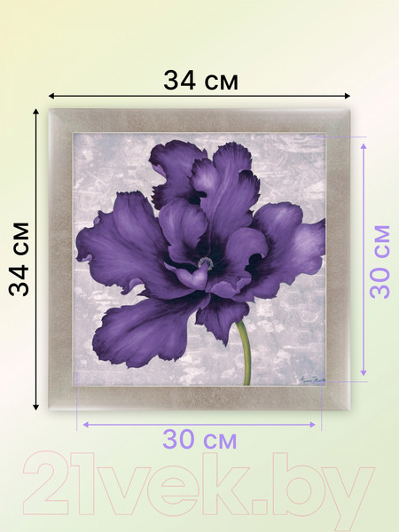 Изображение товара Картина Декарт Фиолетовый цветок 2 8Л2116 (в раме)