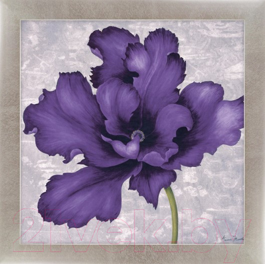 Изображение товара Картина Декарт Фиолетовый цветок 2 8Л2116 (в раме)