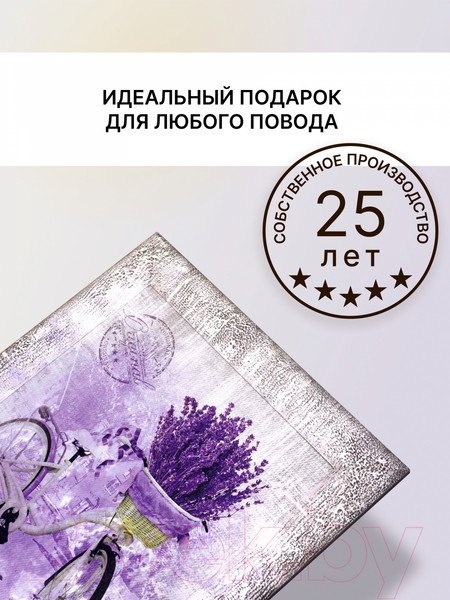 Изображение товара Картина Декарт Ретро велосипед 8Л3809 (в раме)