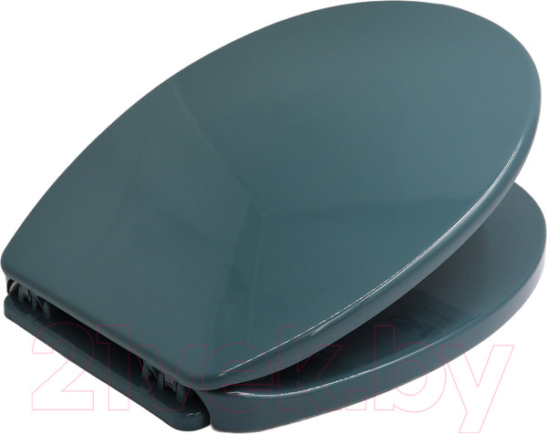 Изображение товара Сиденье для унитаза Bisk Iris 08472 (зеленый)