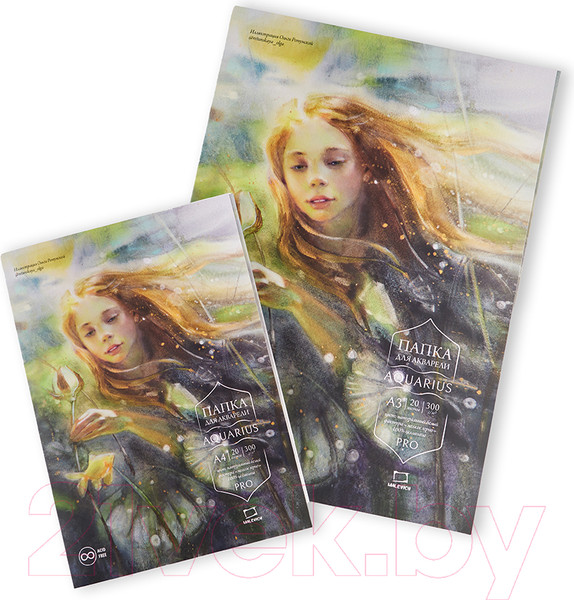 Изображение товара Набор бумаги для рисования Малевичъ Aquarius. Fin / 402220 (20л)