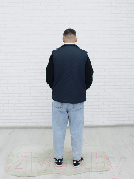 Изображение товара Жилет утепленный Lanatex 326 / 22381 (р.176-96-84/48, темно-синий)