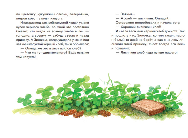 Изображение товара Книга Эксмо Моя Родина. Рассказы, твердая обложка (Пришвин Михаил)