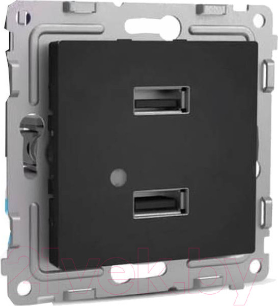 Изображение товара Розетка Tokov Electric Pixel TKE-PX-2USB-C14 (карбон)