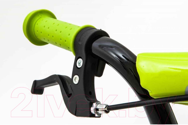 Изображение товара Детский велосипед ZigZag Zoo / ZG-1484 (зеленый)