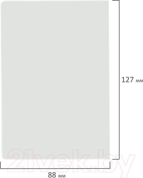 Изображение товара Набор файлов на страницы паспорта Staff 237596 (60шт)