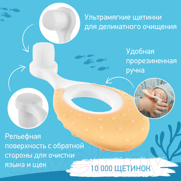 Изображение товара Набор зубных щеток ROXY-KIDS Морской конек / RTB-012-OM (оранжевый/мятный)