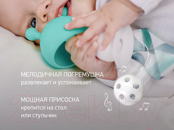 Изображение товара Прорезыватель для зубов Roxy-Kids Грибочек с держателем в футляре / RST-001-B (мятный)