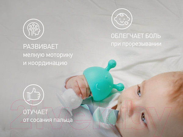 Изображение товара Прорезыватель для зубов Roxy-Kids Грибочек с держателем в футляре / RST-001-B (мятный)